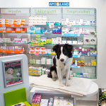 Tiermedizin in der APOLAND Apotheke Tiermedizin in der APOLAND Apotheke